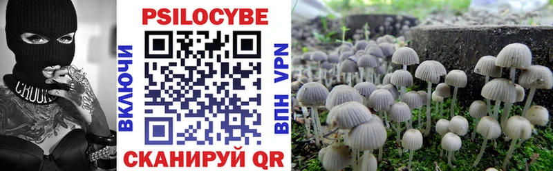 Галлюциногенные грибы GOLDEN TEACHER  KRAKEN как войти  Ростов-на-Дону 